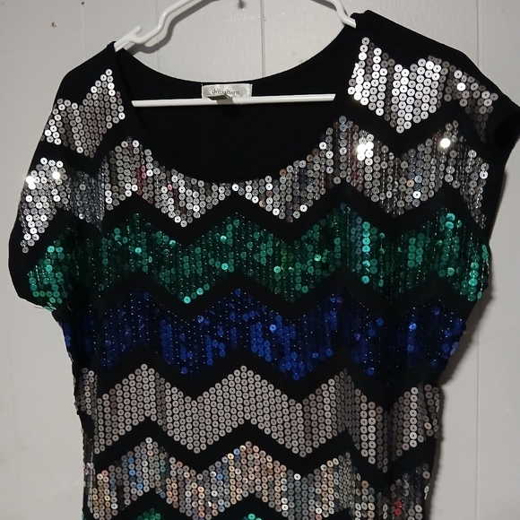Dressbarn brand women's beautiful sequin Pullover top. Size 1X - Picture 2 of 9
